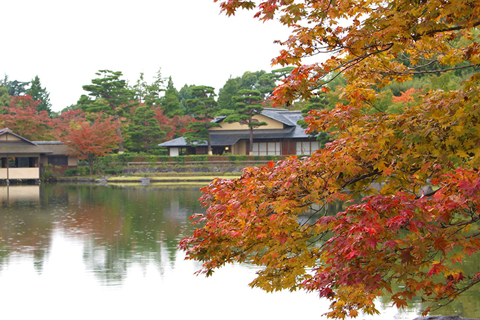 昭和記念公園日本庭園