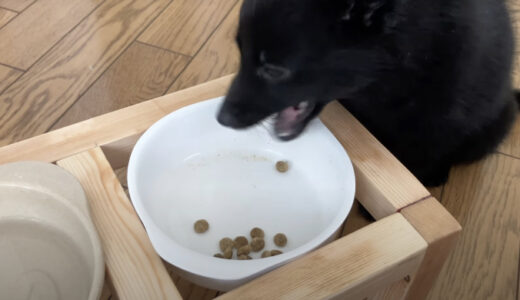 折りたためる犬用簡易ケージとフードスタンドを手作り